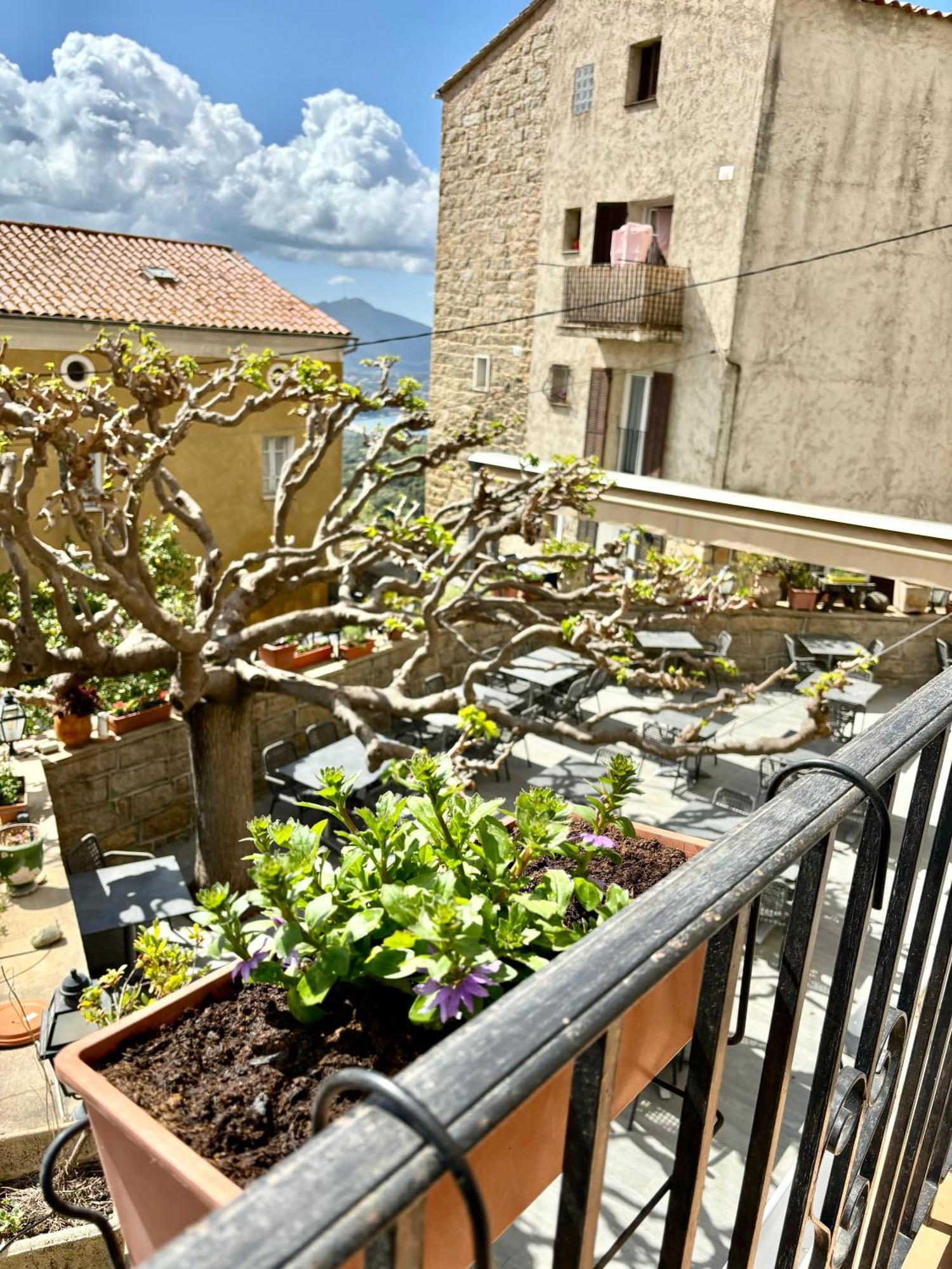 Hoetel U Santa Maria Olmeto  Room photo